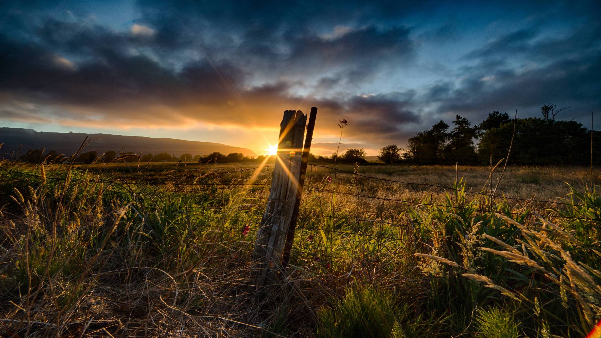 New Beginnings Farm Partnership